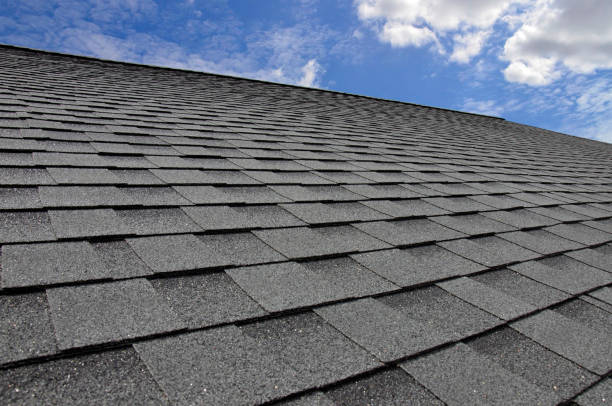 Best Sheet Metal Roofing  in Honeoye Falls, NY